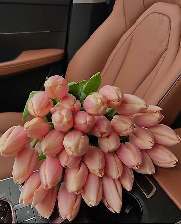 Организация мероприятий: Открываем бронирование 2026 г.Тюльпаны оптом самые яркие,сочные цвета — 10