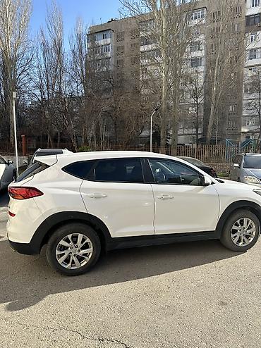 Hyundai: Hyundai Tucson: 2019 г., 2 л, Автомат, Дизель, Кроссовер — 5