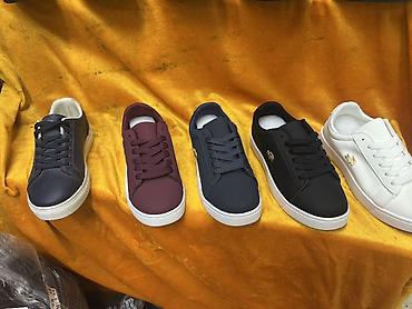 lacoste кроссовки: Мужские кроссовки, 37, 38, 36, Lacoste, Новый, цвет - Черный, Платная доставка, Самовывоз — 2
