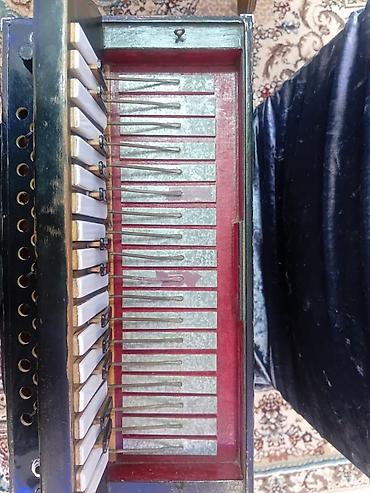 Qarmonlar: Qarmon, Akustik — 9