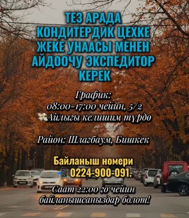 работа для водителя категории с на маршруте бишкек джалал абад: Требуется Водитель-экспедитор, С личным транспортом, Полный рабочий день, Мужчина