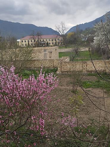 Torpaq sahələrinin satışı: 14 sot, Makler, Kupça (Çıxarış) — 2