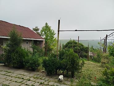 imislidə ev satilir: Şamaxı rayonu Mədrəsə qəsəbəsində gözəl sakit qarşısı dağlara açılan — 9