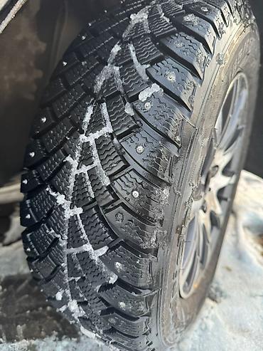 Volkswagen: Volkswagen Passat: 1988 г., 1.8 л, Бензин, Универсал — 15