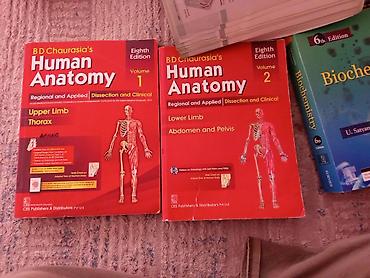 школьники ххх: Комплект учебников: B. D. Chaurasia’s Human Anatomy, 8-е издание, 2 — 1