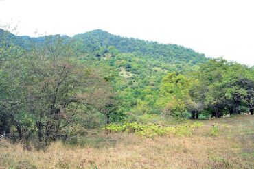 Torpaq sahələrinin satışı: 80 sot, Biznes üçün, Barter mümkündür, Kupça (Çıxarış) — 5