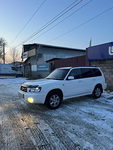 Subaru: Subaru Forester: 2003 г., 2 л, Автомат, Бензин, Универсал — 1
