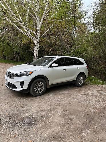 bmw e29: Kia Sorento: 2019 г., Автомат, Бензин, Кроссовер — 2