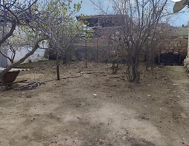 çeşqa satışı: Kənd təsərrüfatı — 1