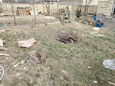 Torpaq sahələrinin satışı: Tikinti — 1