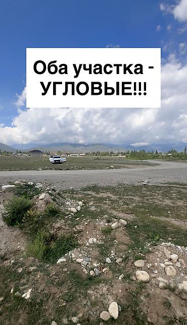 алтын казык ж м: 212 соток, Для бизнеса, Красная книга, Договор купли-продажи — 4