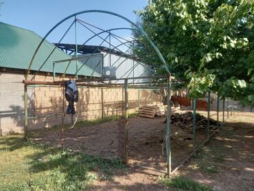 Теплицы: Продаю теплицу Узуну 11 метр туурасы 5 метр. Звонить только по