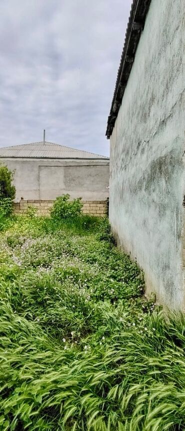 Bağ evlərinin satışı: Şabran, 66 kv. m, 5 otaqlı, Qaz, İşıq, Su — 3