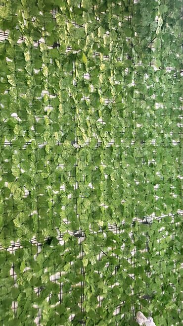 Digər ev dekoru: 7 man baslayan qiymetler Depodan bir basa satis Mehsulkari olkeye — 8