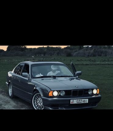 BMW: BMW 520: 1991 г., 2 л, Механика, Бензин, Седан