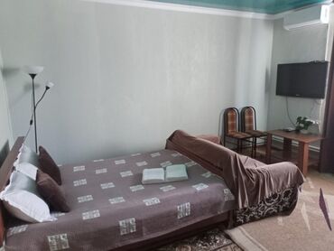 Посуточная аренда комнат: 25 м², С мебелью — 14