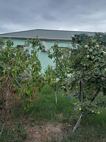 Həyət evi alıram: 97 kv. m, 3 otaqlı — 10