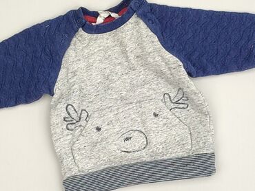 Sweatshirt, 3-6 months, condition - Very good