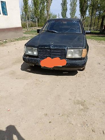 225 50 r17: Колеса в сборе 215 / 55 / R 17, Лето, Б/у, Комплект, Легковые, Литые, отверстий - 5 — 2