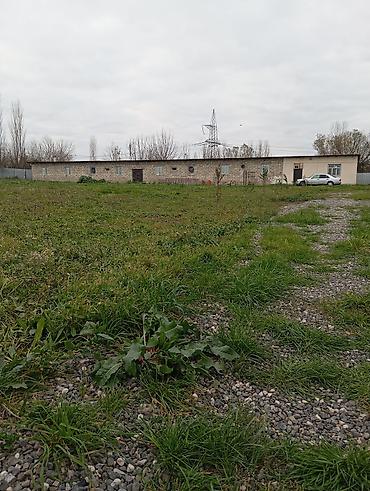 daşınmaz emlak: Ferma 60 sot sahəsində yerləşir. Qaz,su,işiq daimidir. Şəxsi artezani — 9
