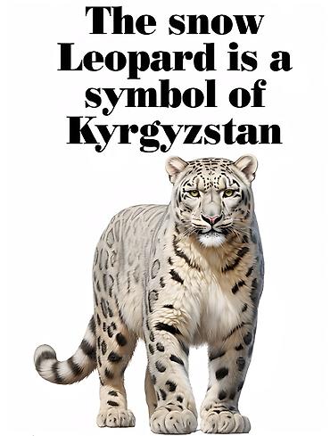 cl 7: Профессиональные услуги по Photoshop любой сложности. - Обработка и — 10