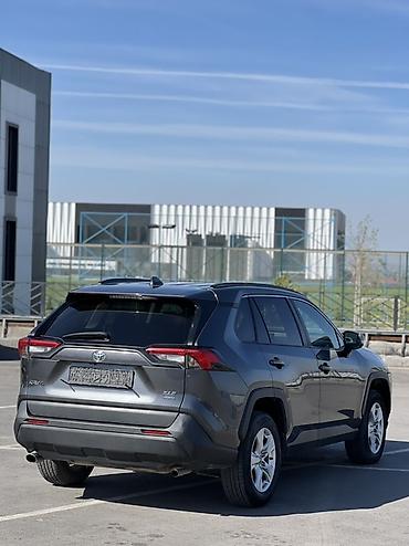 пампа: Toyota RAV4: 2020 г., 2.5 л, Автомат, Бензин, Кроссовер — 5