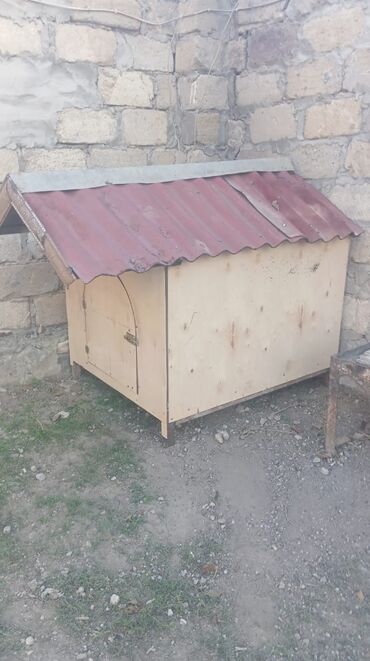 pişik ucun qum: Taxta it evi - Material: qalın kontrplak/taxta korpus, möhkəm karkas