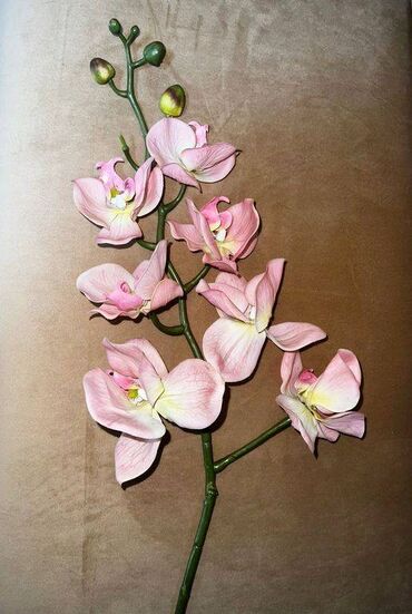 орхидея: Искусственный цветок для интерьера - орхидея розовая силиконовая