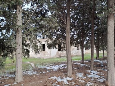 Kommersiya daşınmaz əmlakının satışı: 25 SOT TORPAQ SAHESI SATILIR!!! icinde 200 kvd liq tikili -da lalafo.az — 9 Kommersiya daşınmaz əmlakının satışı: 25 SOT TORPAQ SAHESI SATILIR!!! icinde 200 kvd liq tikili — 9