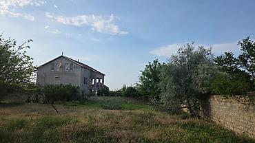 8ci km: 12 sot, Tikinti, Mülkiyyətçi — 8
