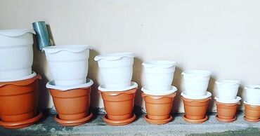 Bitkilər üçün dibçəklər: Dibcek qabi kvadrat gul qabi kvadrat dibcek qabi duzbucaqli gul qabi -da lalafo.az — 23 Bitkilər üçün dibçəklər: Dibcek qabi kvadrat gul qabi kvadrat dibcek qabi duzbucaqli gul qabi — 23