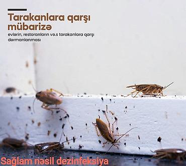 Dezinfeksiya, dezinseksiya: Dezinfeksiya, dezinseksiya | Tarakanlar, Ağacları çiləmə, Taxtabiti | Ofislər, Mənzillər, Evlər — 10