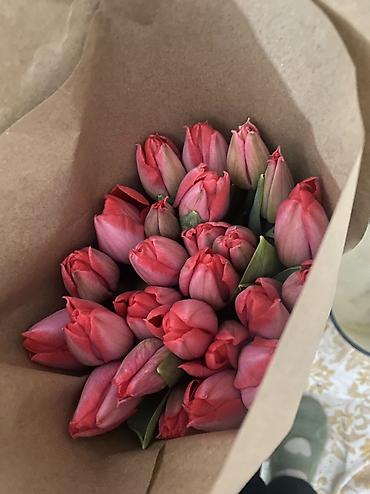 Букеты из живых цветов: Тюльпаны к 8 Марта — опт и розница. - Свежесрезанные тюльпаны разных — 18