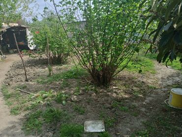 Həyət darvazaları: RT Arxasında körpüdən sağda 2 ci küçədə 2 mərtəbəli 8 otaqlı həyət evi -da lalafo.az — 39 Həyət darvazaları: RT Arxasında körpüdən sağda 2 ci küçədə 2 mərtəbəli 8 otaqlı həyət evi — 39