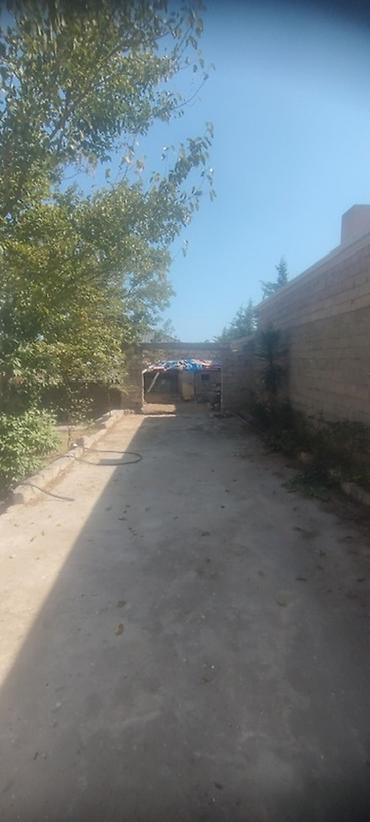 Torpaq sahələrinin satışı: 8 sot, Tikinti, Kupça (Çıxarış) — 9