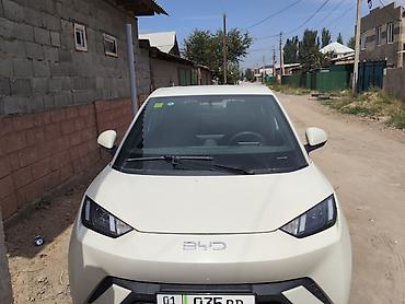 маленькие электро машины: BYD Seagull: 2025 г., 2.2 л, Автомат, Электромобиль, Хэтчбэк — 1