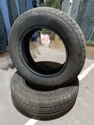 гоформ шины в бишкеке цена: Шины 195 / 65 / R 15, Зима, Комплект, Легковые, Nexen