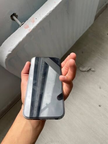 режим 12c: IPhone 12 Pro Max, Sierra Blue