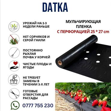 мульчирующая пленка для клубники цена: #Пленка клубничная мульчирующая ПРЕМИУМ-ЧЕРНАЯ с отверстиями 25*27см