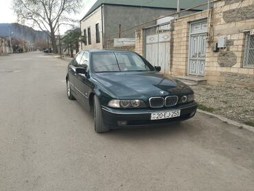 авто на свадьбу бмв: BMW 5 series: 2.5 л | 1997 г. Седан