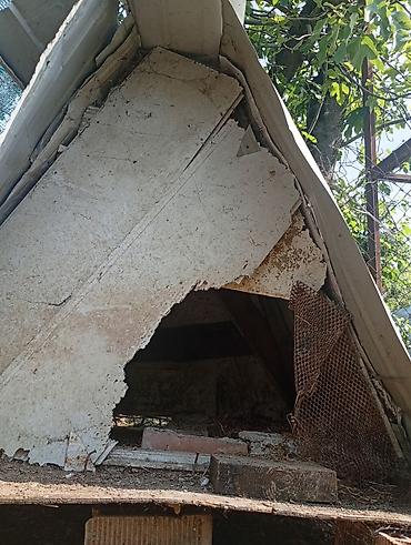 it bazari 2020: Salam it yuvası ətrafı dəmirdəndi altı taxtadan 85m çox münasib — 9