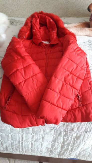 длинные мужские куртки: Женская куртка 4XL (EU 48), цвет - Красный