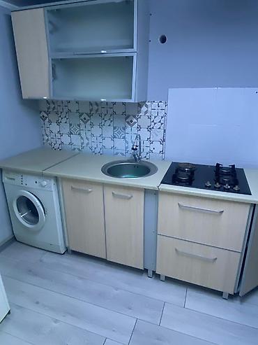 Долгосрочная аренда домов: 38 м², 1 комната, Евроремонт — 4