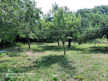 Torpaq sahələrinin satışı: 10 sot, Tikinti, Mülkiyyətçi, Kupça (Çıxarış) -da lalafo.az — 7 Torpaq sahələrinin satışı: 10 sot, Tikinti, Mülkiyyətçi, Kupça (Çıxarış) — 7