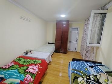 quba kirayə ev: 35 kv. m, 2 otaqlı, Telefon, Su, Kanalizasiya — 1