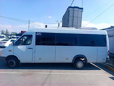 авто в такси: Автобус, Mercedes-Benz, 2017 г., 2.2 л, 16-21 мест — 3