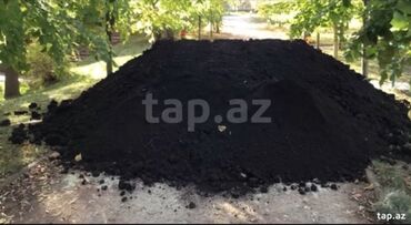 Ağaclar: Hər vaxtınız xeyir olsun dəyərli müştərilərimiz. Bizə vaxt ayırdığınız — 5