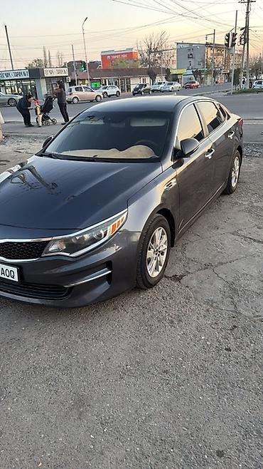 аренда kia optima: Kia Optima: 2017 г., 2.4 л, Автомат, Бензин, Седан — 3