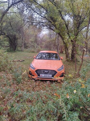 Hyundai: Hyundai Sonata: 2019 г., 2 л, Автомат, Бензин, Седан — 9