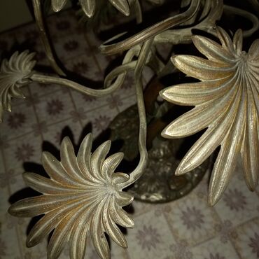 Fiqurlar: Fiqur — 16